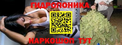 шишки Кинель