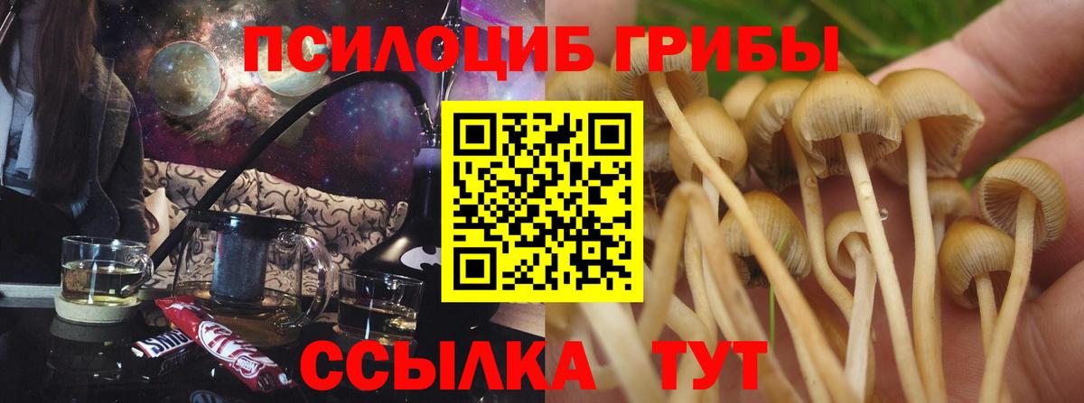 Галлюциногенные грибы прущие грибы  Галлюциногенные грибы GOLDEN TEACHER  Кушва  Вход с VPN 